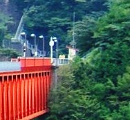 �ʐ^�V�|�Q�|�Q�F���C���{�[�u���b�W���Ԃ̉����Ώ�w�B