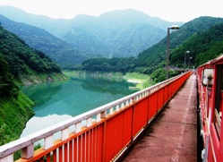 �ʐ^�W�|�P�F�����Ώ�w���烌�C���{�[�u���b�W�ƐڑZ�΂�U��Ԃ�B