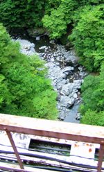 �ʐ^�a�P�P�|�Q�F�փm�򋴗�����`�����փm��B