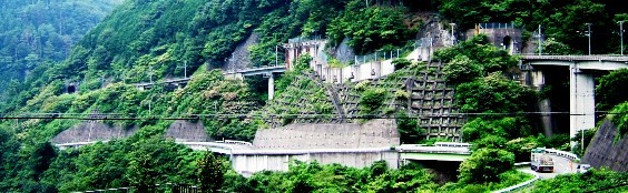 �ʐ^�a�U�|�P�F�����_���w����̃A�v�g��Ԃ�U��Ԃ������]�B