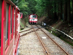 �ʐ^�b�P�|�P�F�Ց��w�̐��т̒��ő΍R��ԑ҂��B