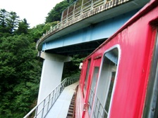 �ʐ^�b�Q�|�P�F�����_���w��O�Ō����R�W�W���̉������B