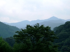 �ʐ^�b�S�|�P�F����w�쐼�̎R�B