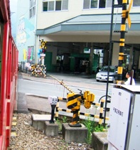 �ʐ^�b�S�|�Q�F�瓪�w�O�̎ԓ��̓��؁B