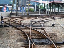 �ʐ^�b�S�|�R�F�����瓪�w�B