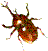 JugṼ}XRbgB