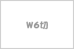 W6切