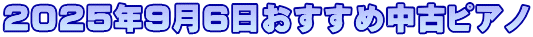2025N96ߒÃsAm