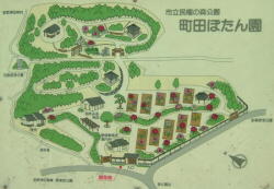 �����ē��}