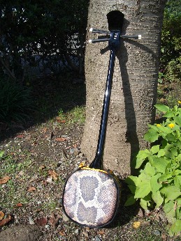 My�J���J���O��2