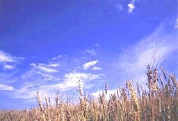 �����ƌ��������A�X�g���X�ƕt������