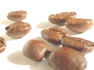 photo &copy; yam's make ���f�]�ڋ֎~