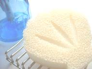 photo &copy; yam's make ���f�]�ڋ֎~