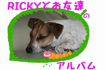 アルバム見ていってね！