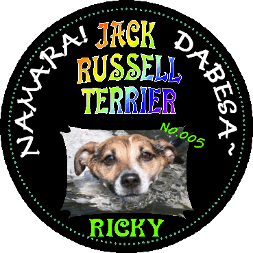 なまら!!“ジャックラッセルテリア”だべさ～