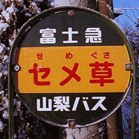 富士急行バス停標識