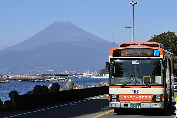 ２０２０年１２月７日撮影　静岡県沼津市　普通の東海バスでごめんネ