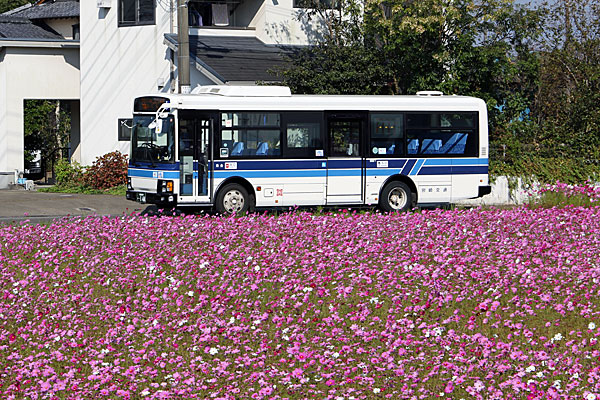 �Q�O�P�W�N�P�P���U���B�e�@�{�茧�{��s