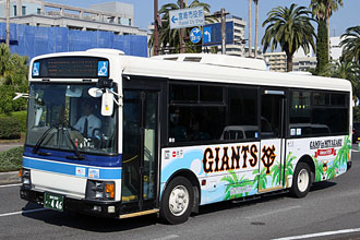 〔宮崎２００か４４６〕