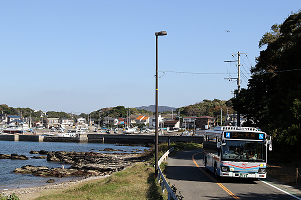 ２０２４年１１月１３日撮影　神奈川県横須賀市