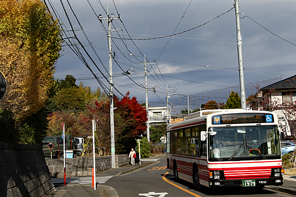 ２０２５年１１月１８日撮影　神奈川県川崎市麻生区