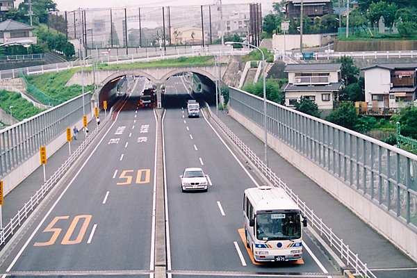 lsʋǁ@QPTn@u`cؓے