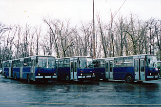 ケーバーニュ・キシュペシュト　連接バス