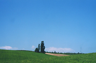 xǖ앗i.jpg