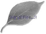 Signal Fire...!!