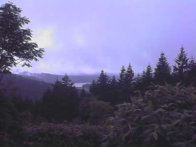 ���R�����猩�������