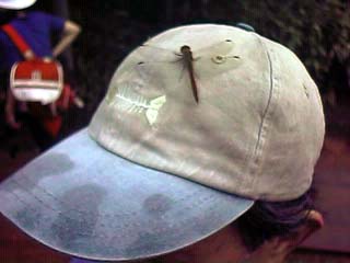 �`���̖X�q�Ƀg���{��