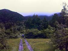 �����ѓ��̏�����