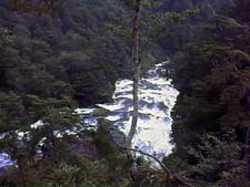 �����m��