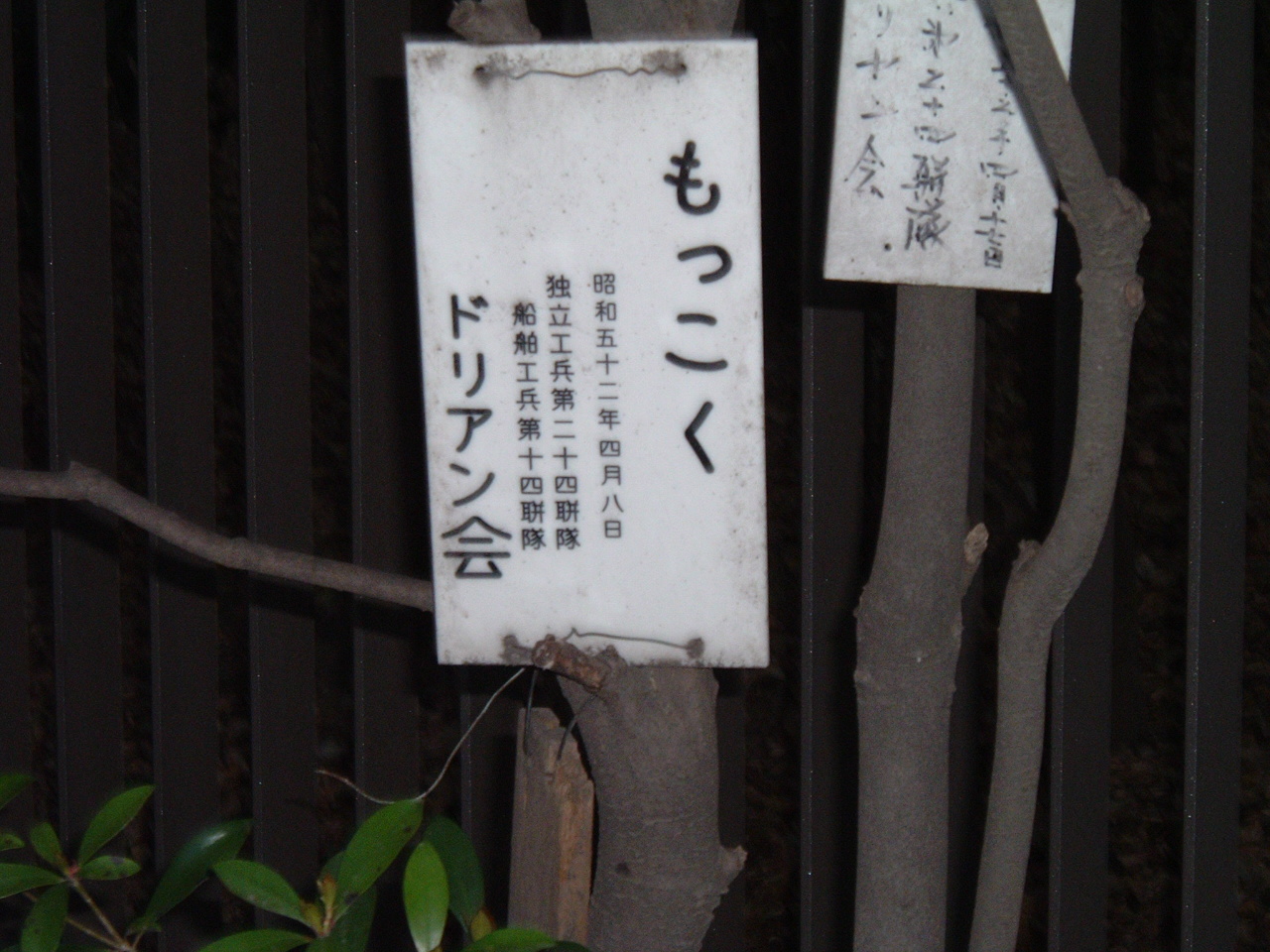 �r���h���A����𔭌�