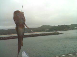 ���ރ��[�h���ł���