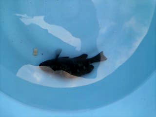 �ނ��Ɗy�����ˁ@