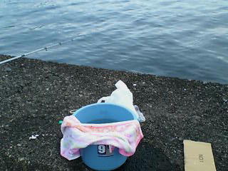 �E�L���r���r����������