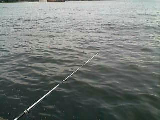 �C�̓��A�x