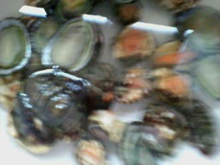 ���������ꂽ