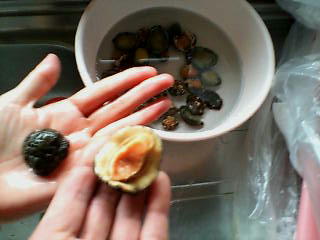 �r���ŐS�z�ɂȂ��Ă���