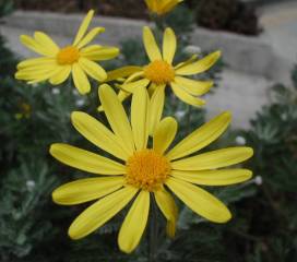 ���F����