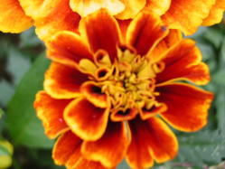 �����낤�H