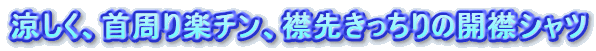 Ay`Aݐ悫̊J݃Vc