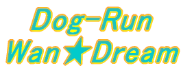 Dog-Run WanDream