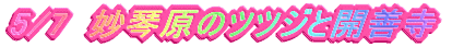 Ռ̃ccWƊJP