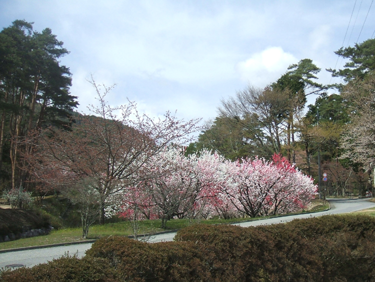 DSCF7279.jpg
