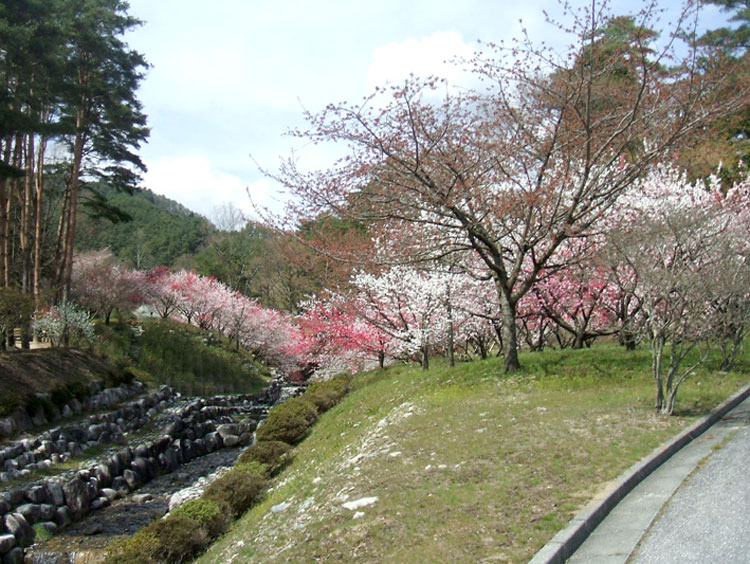 DSCF7280.jpg
