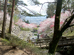 DSCF7281_thumb.png