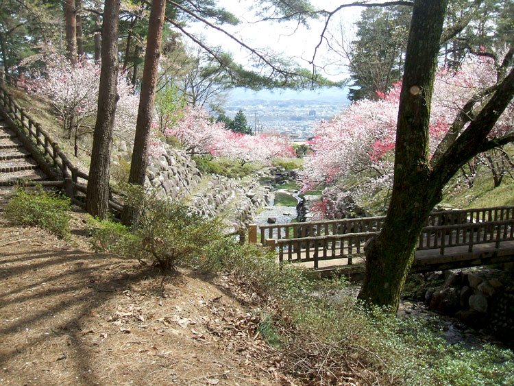 DSCF7282.jpg