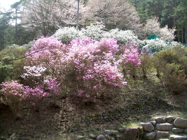 DSCF7283.jpg